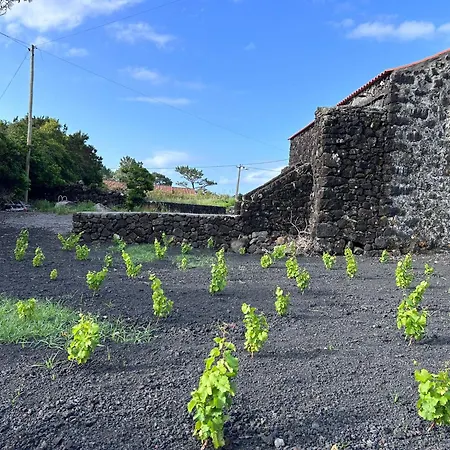 Casa 3 Picos 2 São Roque do Pico